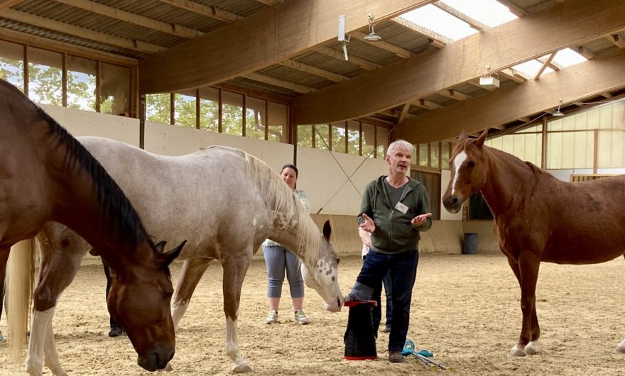 Erlebe die tiefe Verbundenheit zwischen Mensch und Pferd beim Horse Spirit Festival Schweiz - ein magischer Raum voller Inspiration und spiritueller Begegnungen.