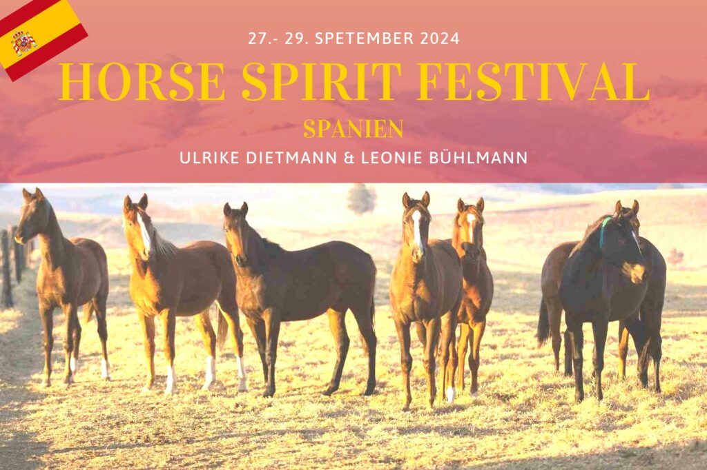 Erlebe die faszinierende Atmosphäre des Horse & Spirit Festivals in Spanien, wo majestätische Pferde auf dem idyllischen Gestüt Yeguada la Perla stehen - ein wahrhaft einzigartiger Ort der Verbindung und Transformation.