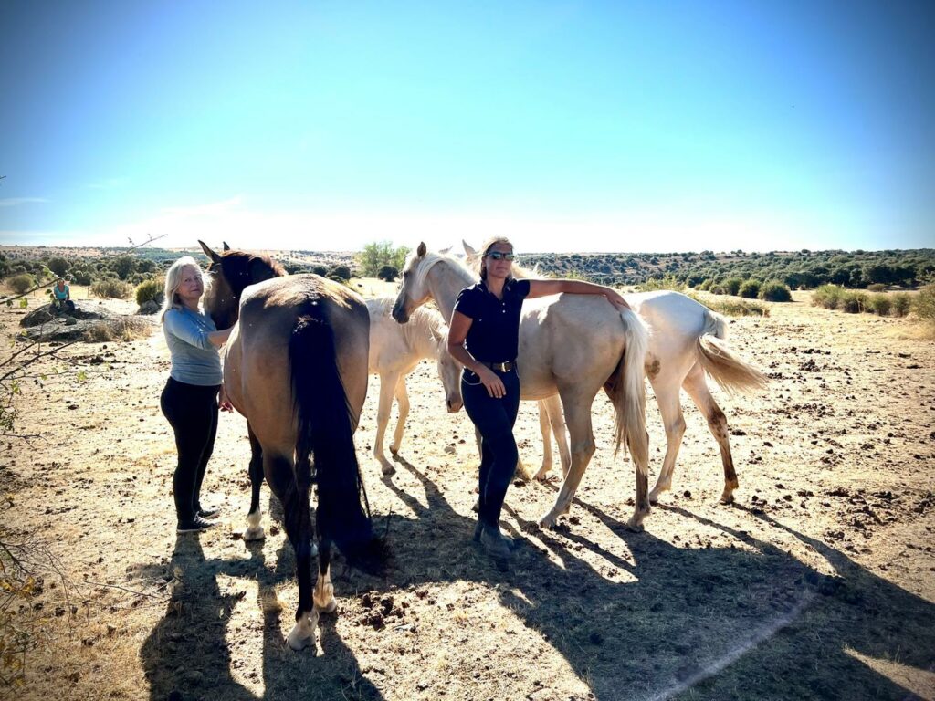 Tauche ein in die faszinierende Welt der Heldenreise mit Pferden und werde zum "Hero’s Journey Instructor". Erlebe transformative Workshops und Coaching mit Ulrike Dietmann