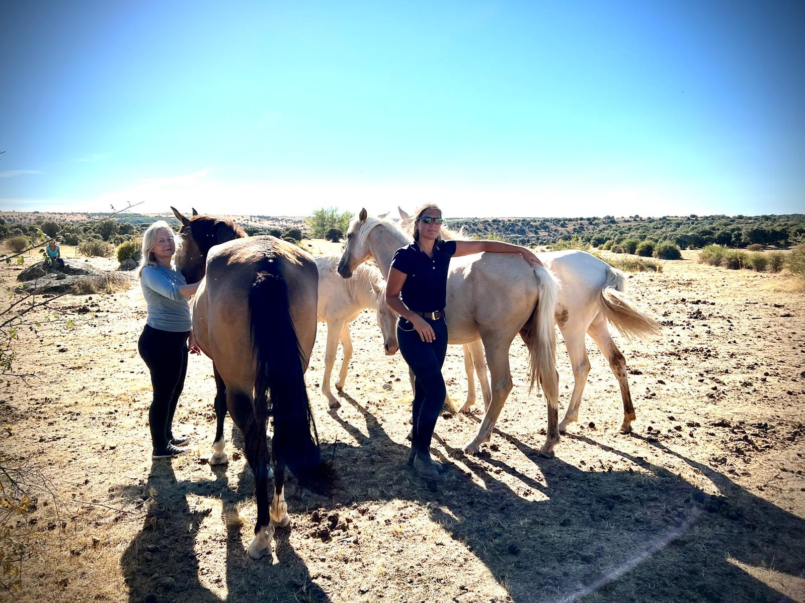 Vor Ort Ausbildung Hero’s Journey Instructor mit Pferden