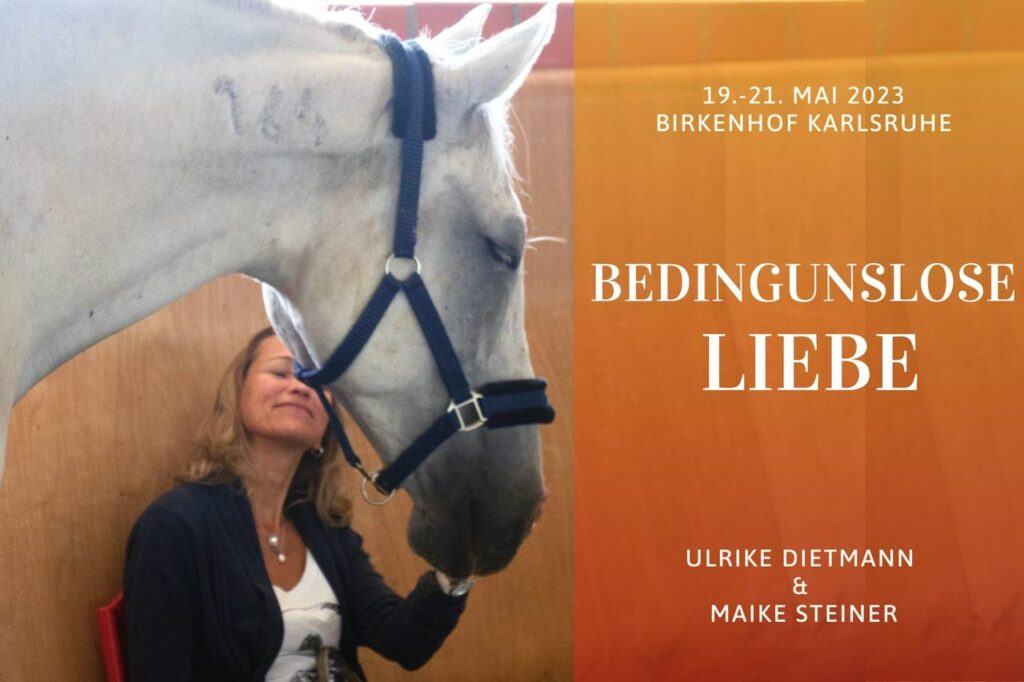 Bedingungslose Liebe in Aktion: Pferde teilen innige Momente.